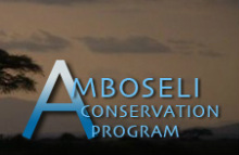 Amboseli Conservation Program